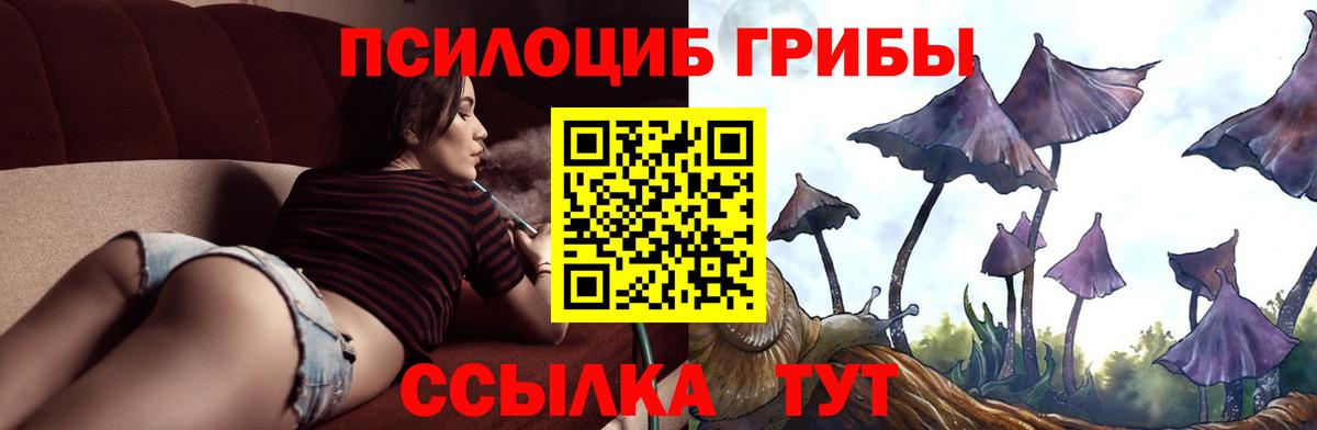 Псилоцибиновые грибы Cubensis Беслан